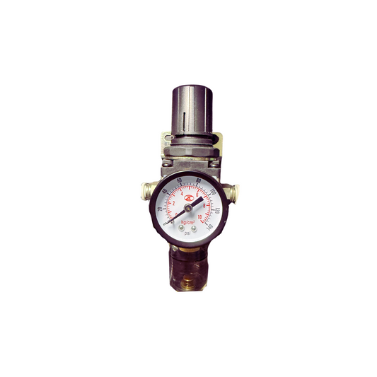 Filter Regulator | PN: HTXM-Y050203